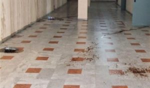 NAPOLI: ALLARME CREOLINA NELLE SCUOLE